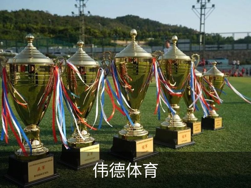 伟德体育概况
